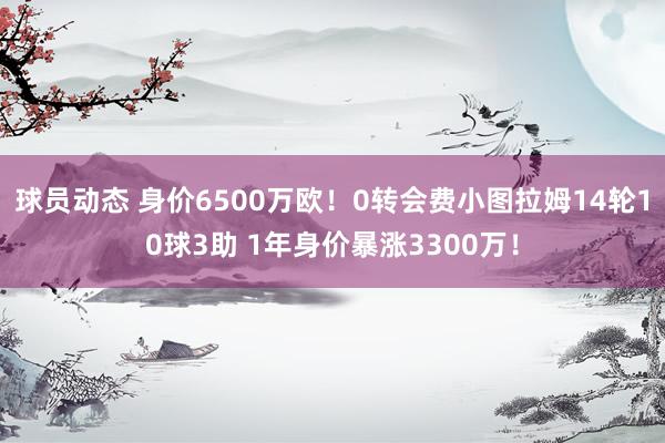 球员动态 身价6500万欧！0转会费小图拉姆14轮10球3助 1年身价暴涨3300万！