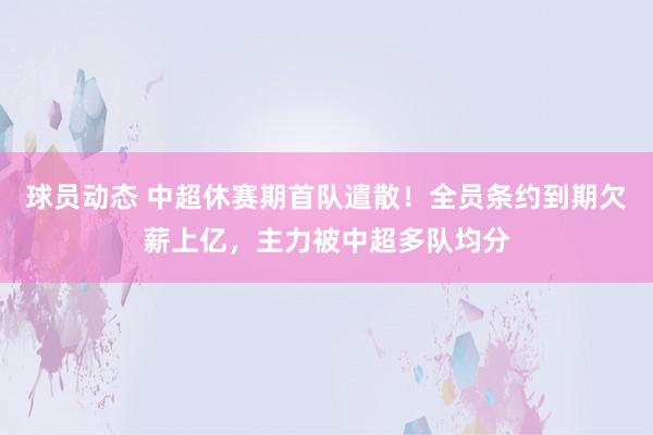 球员动态 中超休赛期首队遣散！全员条约到期欠薪上亿，主力被中超多队均分